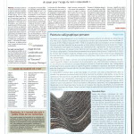 article afjei
